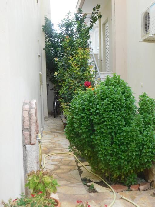 Studio Epicuros Nafplio Exterior photo