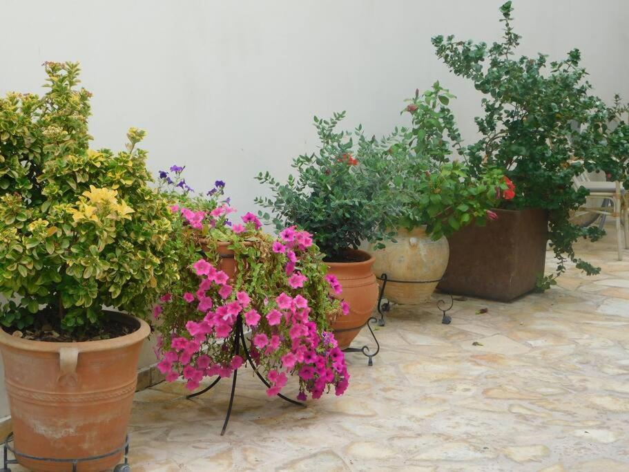 Studio Epicuros Nafplio Exterior photo